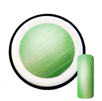 5ml Neon Farbgel #7 Grün mit Pearl-Effekt 