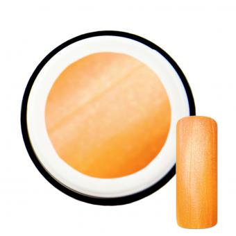 5ml Neon Farbgel #10 Orange mit Pearl-Effekt 