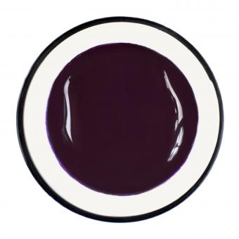 5ml Colour Gel Pure Aubergine Violet Studio Quality High Coverage 