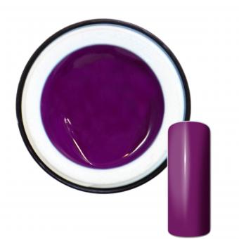 5ml Farbgel Pure Purple violett Studioqualität hochdeckend 